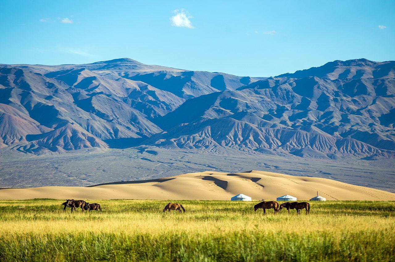 Trip to Khangai and Gobi