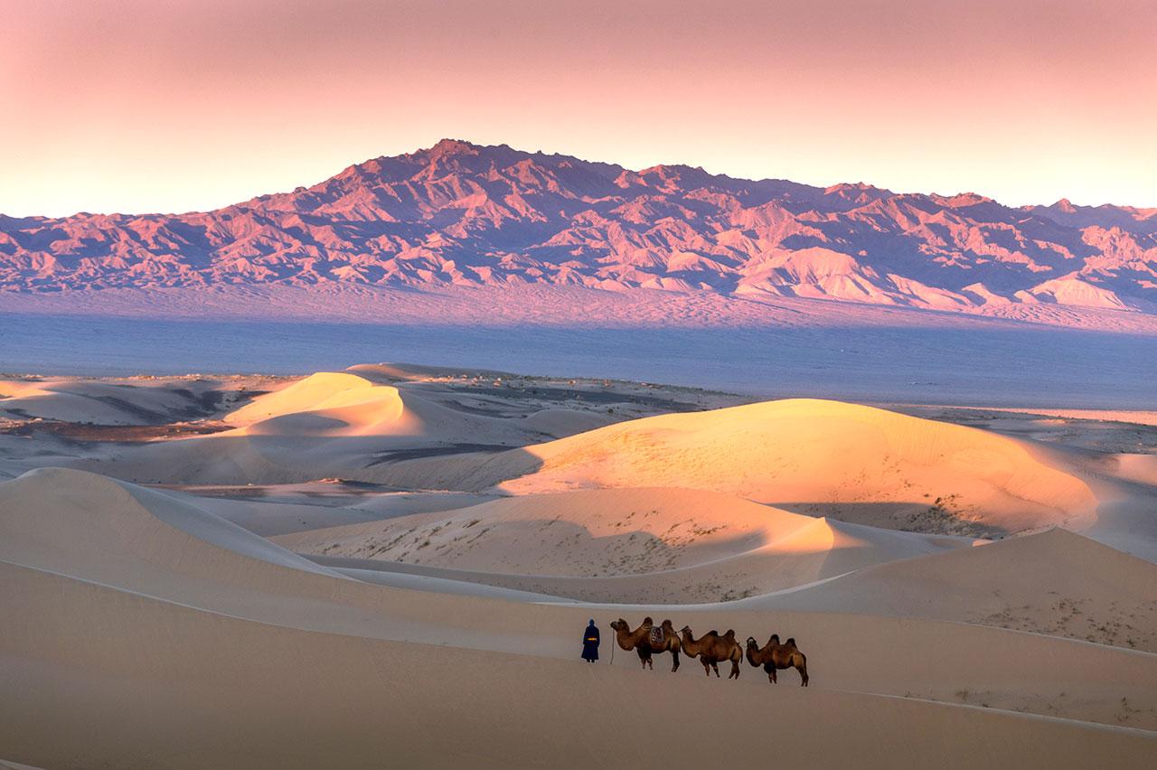 Gobi desert